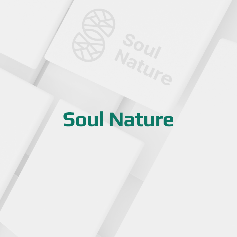 소울네이쳐푸드